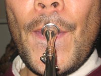 ����F���̐�����