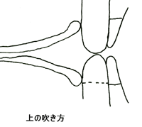 ��̐�����