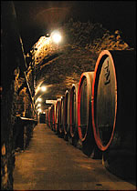 �n���[���ɂ��钙�����B�[�N�g���̂̓r���ɋl�߂Ĕ��A������