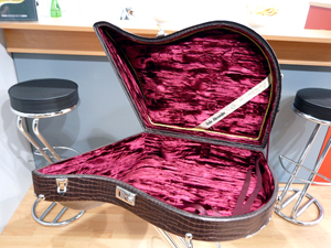 �g���V�b�N�ȓ���