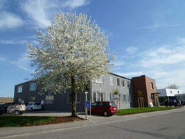 ���R�Ƃ̒��a���S�n�ǂ��V�H�[