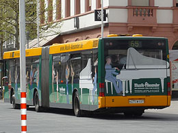 ��������܂����A�A���L�o�X�I�I