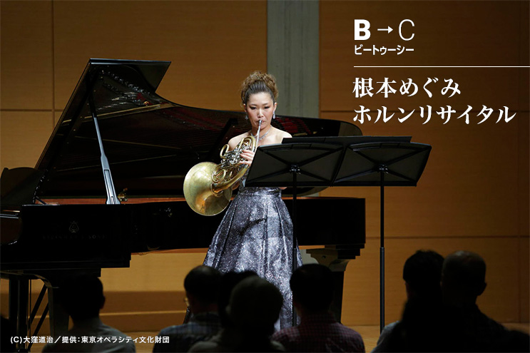 B��C�i�r�[�g�D�[�V�[�j ���{�߂��݁@�z�������T�C�^��