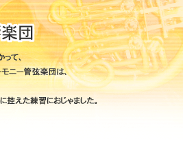 ���΃t�B���n�[���j�[�����y�c