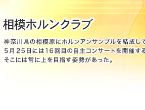 ���̓z�����N���u